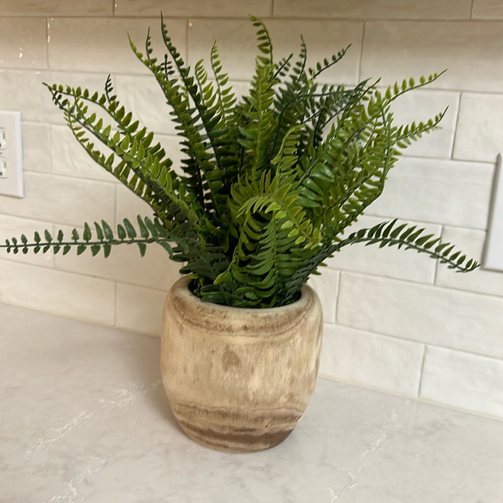 Threshold potted faux plant.